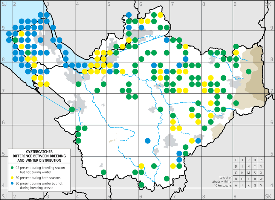 Difference between breeding and winter distribution map